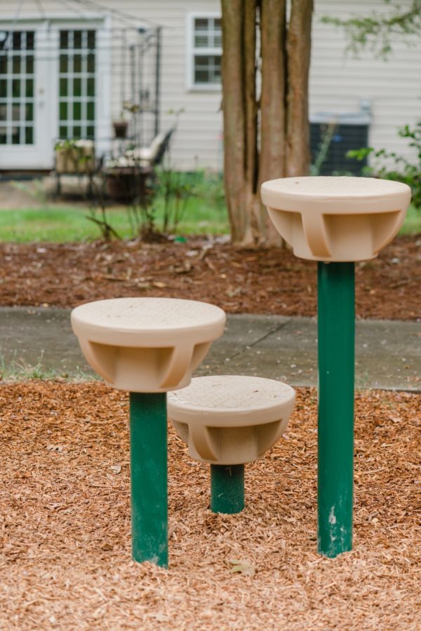 Lily Pad Walk - 1 Pad | TFR14881XX