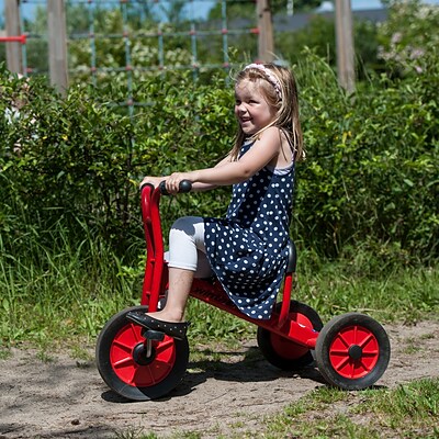 Ages 2-4 Tricycle | 50-WIN450