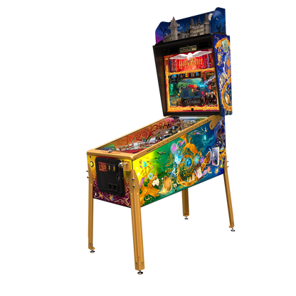 Harry Potter Pinball Collectors Edition - LittleWonders