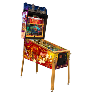 Harry Potter Pinball Collectors Edition - LittleWonders