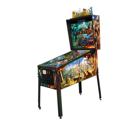 Harry Potter Pinball Wizard Edition - LittleWonders