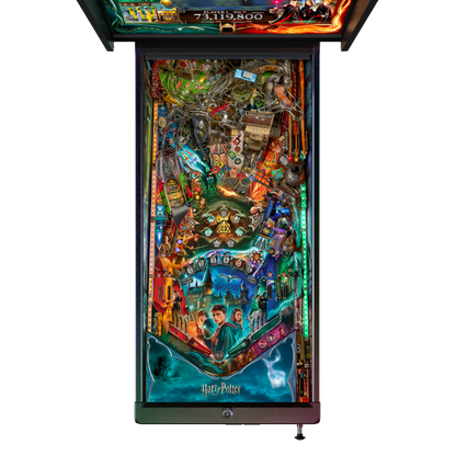 Harry Potter Pinball Wizard Edition - LittleWonders