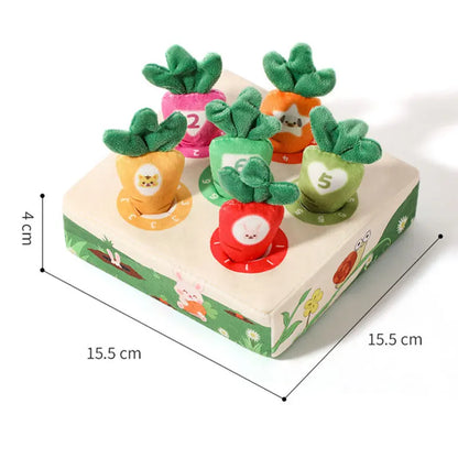 LittleHarvest™ – Educatief Speelplezier met Worteltjes - LittleWonders