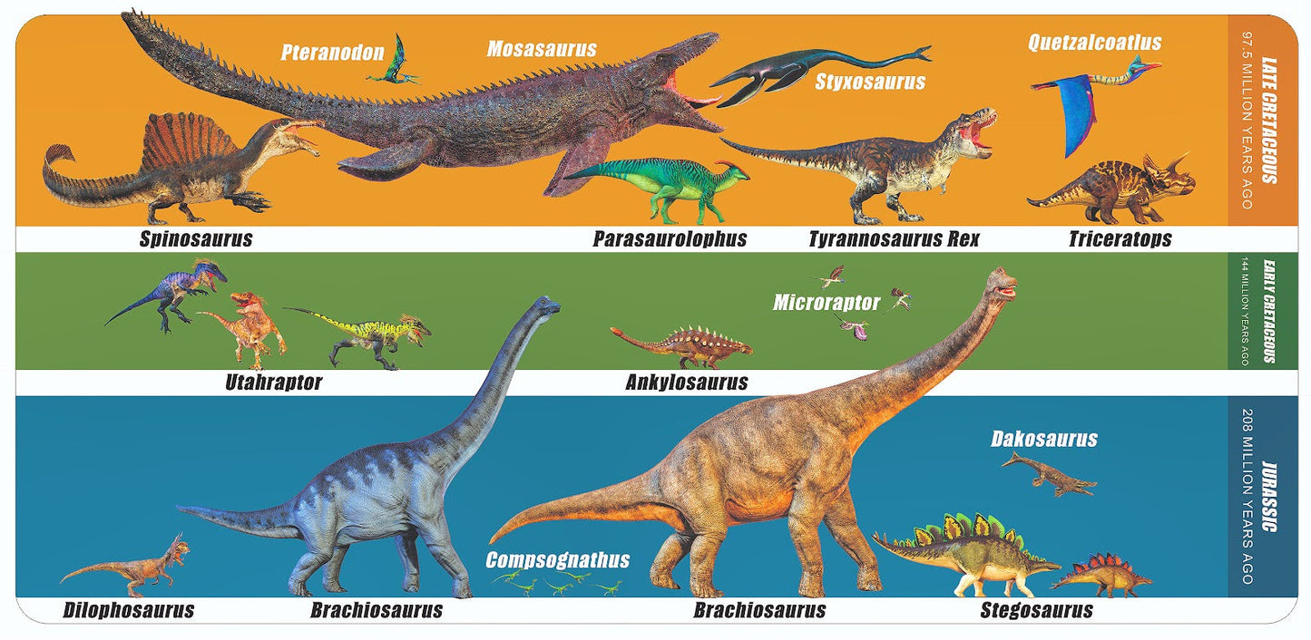 T-Rex Safari - LittleWonders