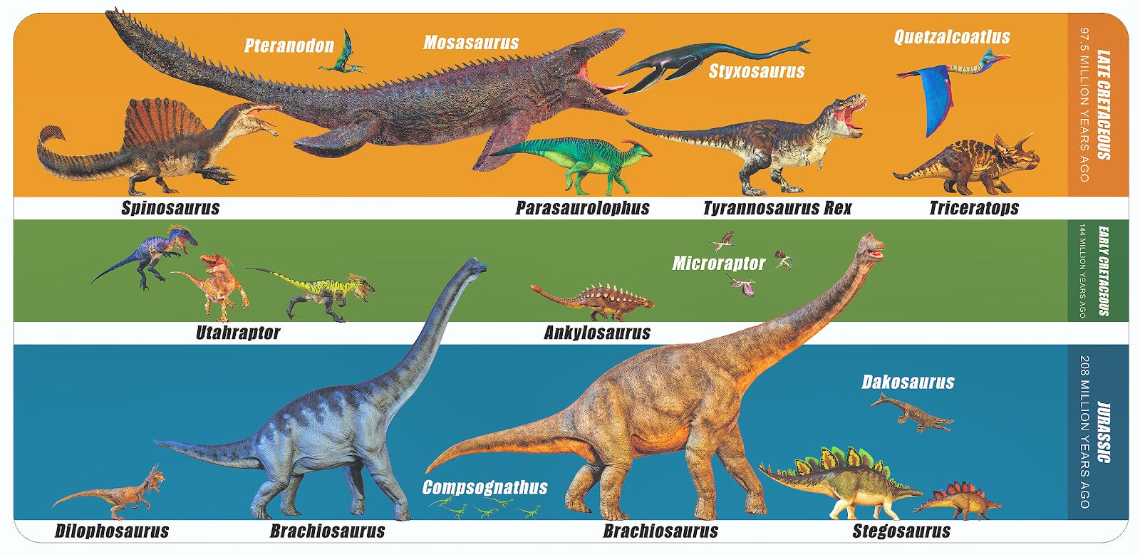 T-Rex Safari - LittleWonders